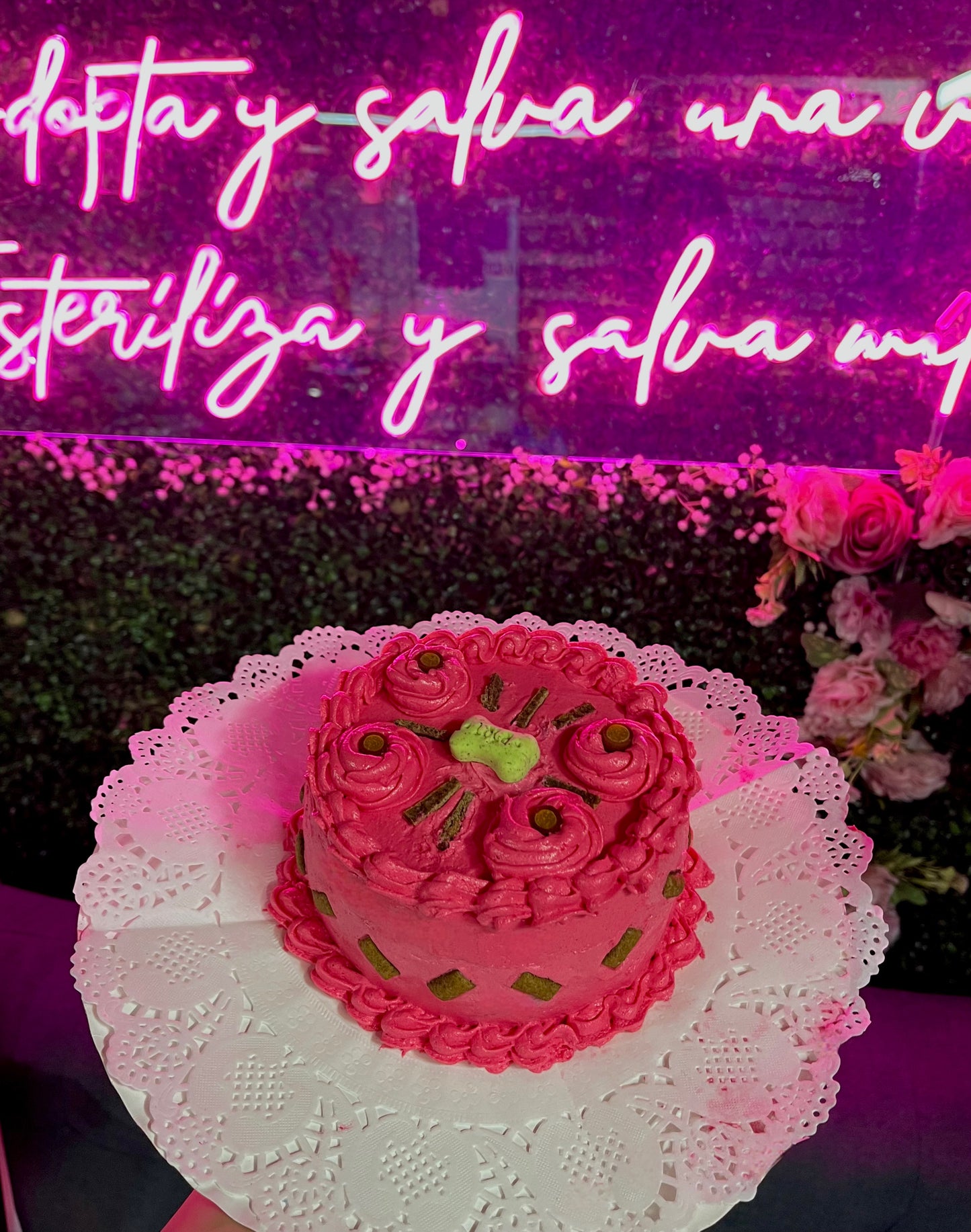 Tortas que Ladran Amor y Ronronean Sabor (Torta Mediana 900gr)🐶🐱