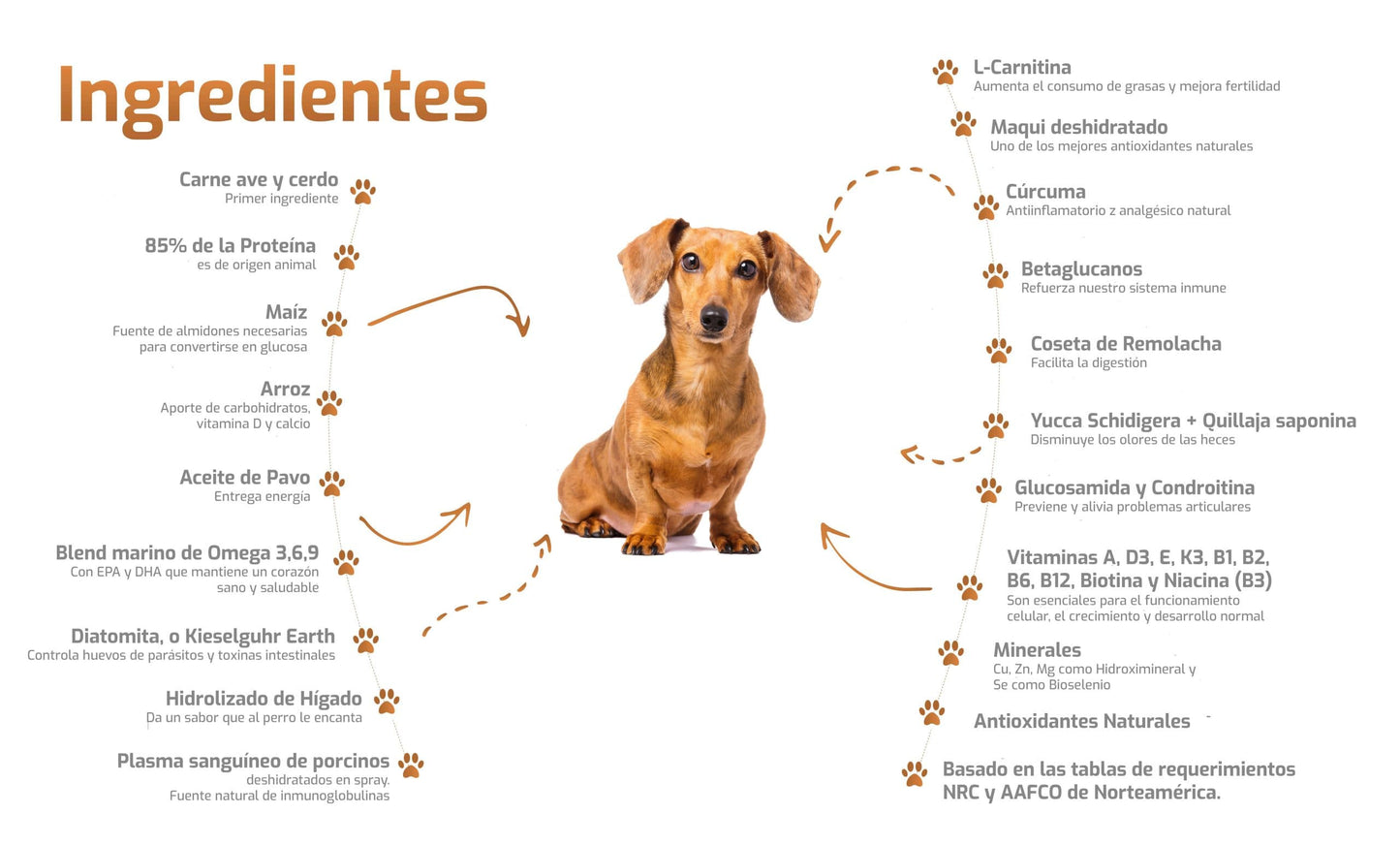Bokato Petit 10 kg - Fórmula Balanceada para Mascotas Pequeñas