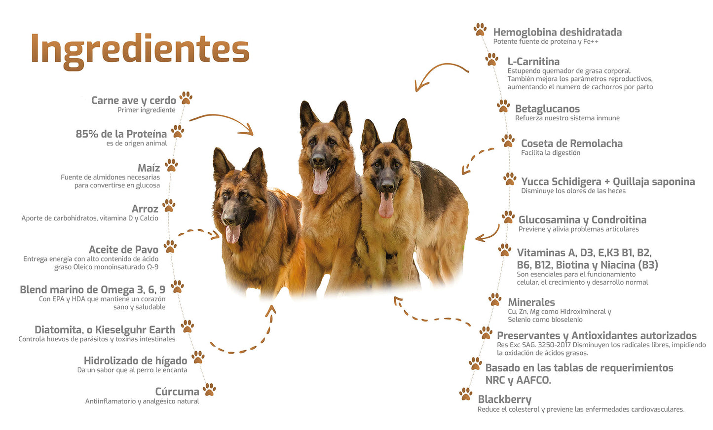 ¡Bokato Gold 20 kg: Nutrición Premium para Tu Perro al Mejor Precio!
