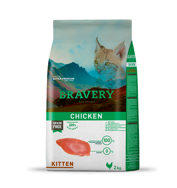 🐾 Bravery Kitten Pollo 2: Crece fuerte, juega más 💪😻
