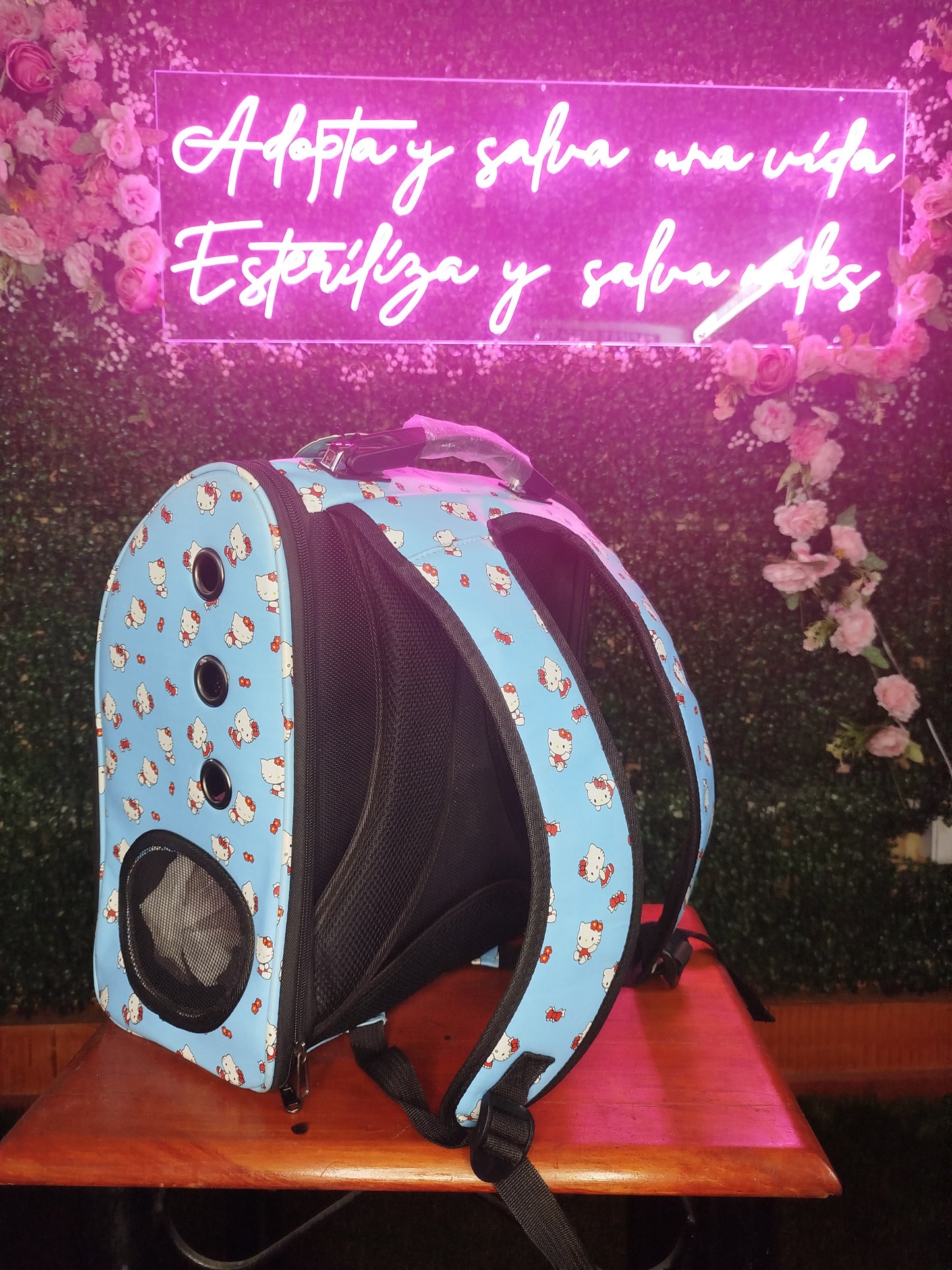 ¡Mochila viajera para tu michi! 🐾🎒