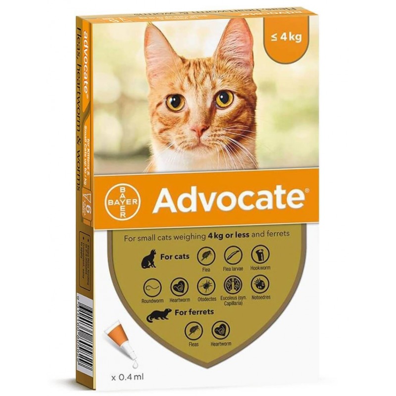 ADVOCATE 4 KG 🐾 "Sin Parásitos, Más Felicidad – Cuidado Completo"🐱